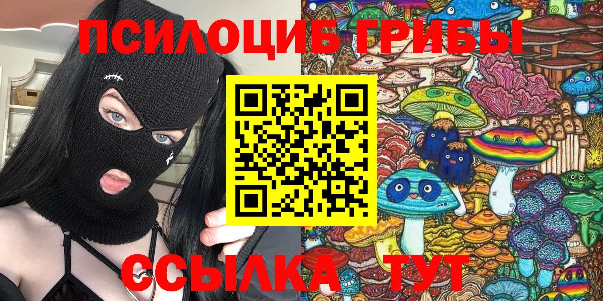 Шелехов  Галлюциногенные грибы Cubensis  Вход с VPN 